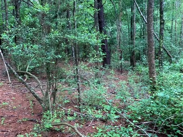Highway 16, Amite, LA 70422
