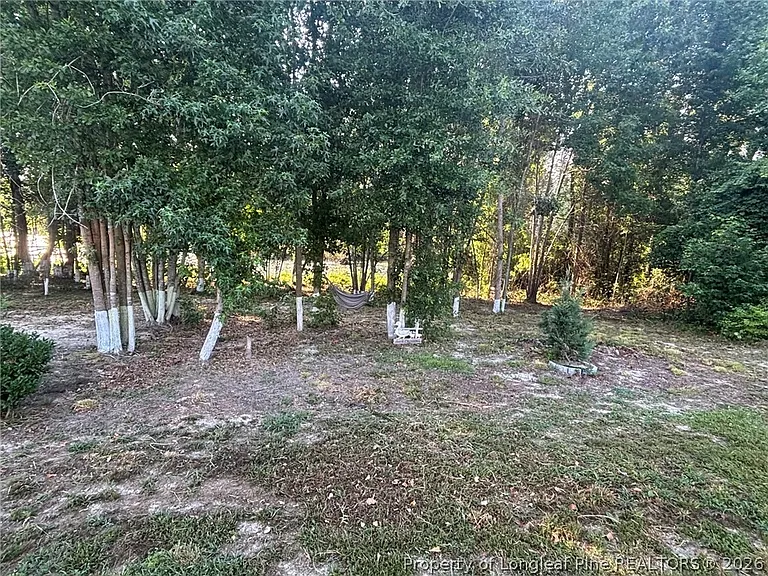 168 Placid Pond Dr — Photo 36