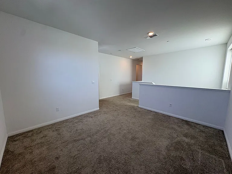 204 Wooley Creek Way — Photo 16