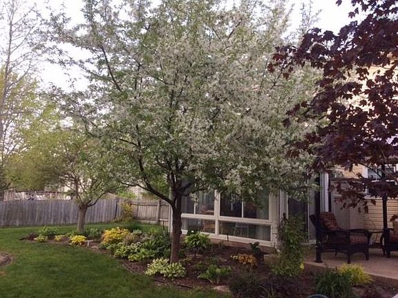 3rd image of 7264 Camberwood Dr