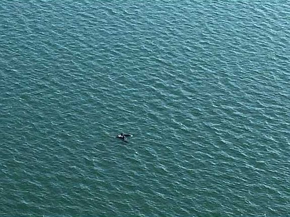 3rd image of 4000 Towerside Ter APT 2101