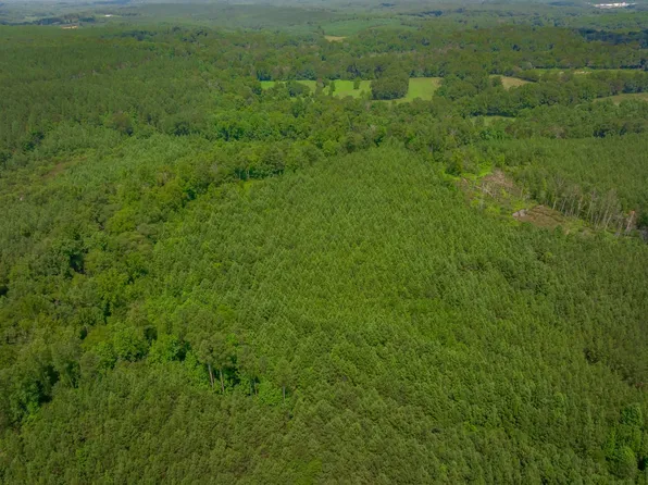 Kings Creek McGill Rd, Smyrna, SC 29743