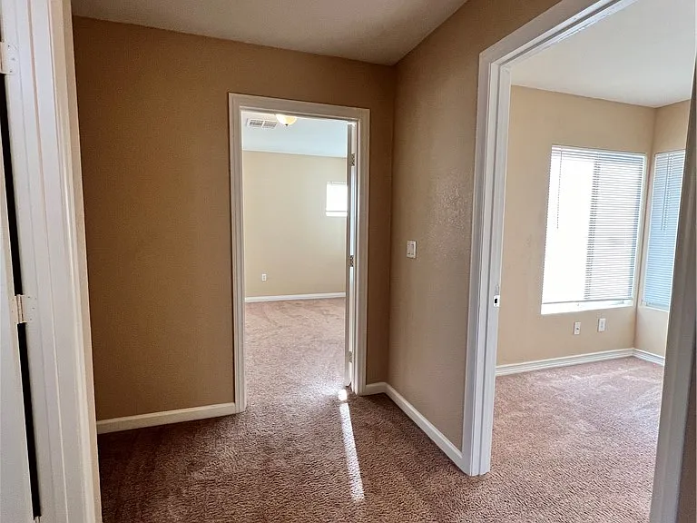 8237 Golden Flowers St — Photo 19