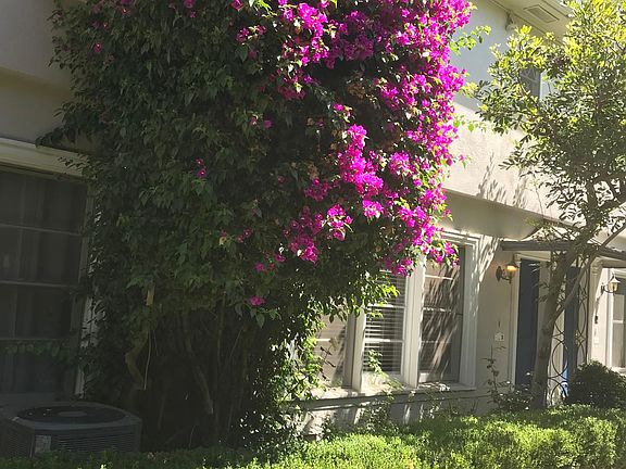 Garden entrance: Apt 3 door is on the right.