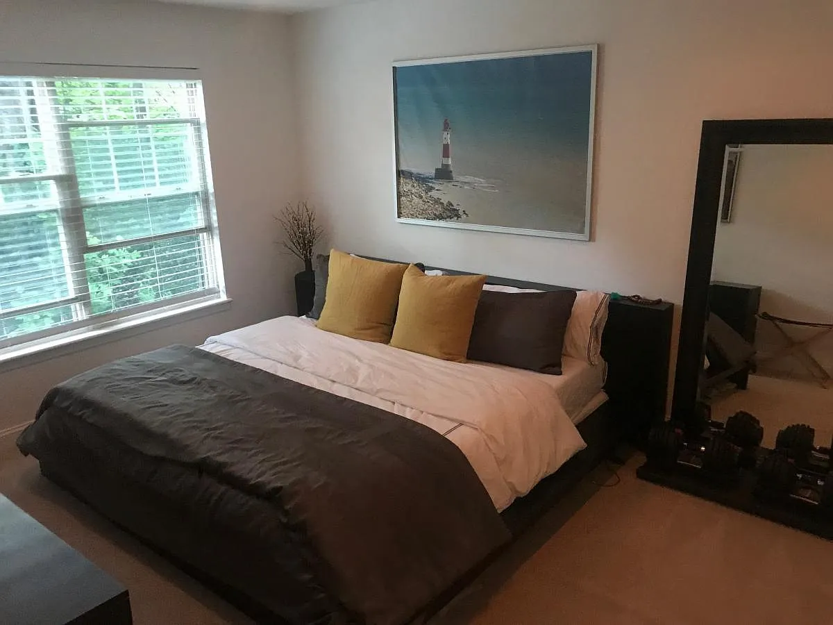 2 bed, 910 sqft, $2,100 — Photo 3