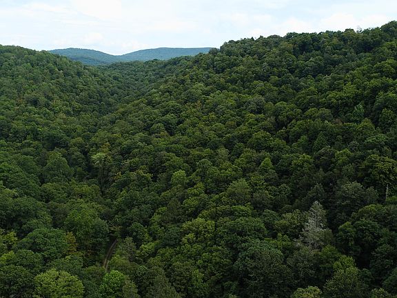4th image of Big Run Rd