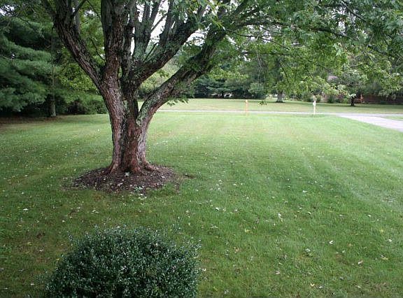 4th image of 259 Parkway Dr