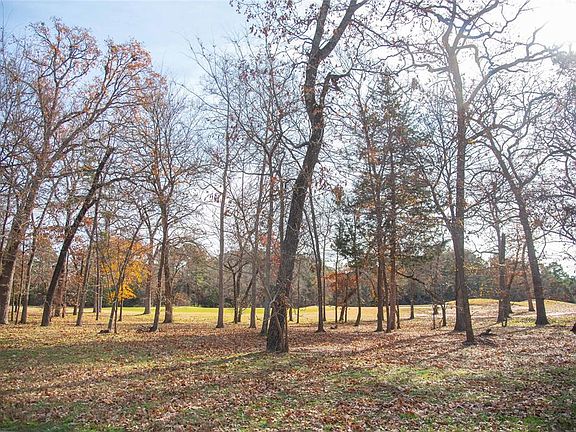 3rd image of 183 Eagles Bluff Blvd