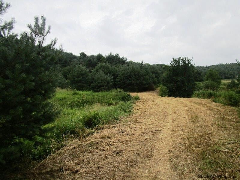 4th image of GULF Road