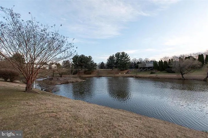 10622 Tuppence Ct — Photo 41