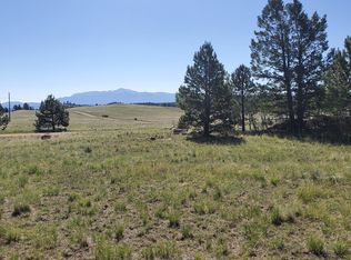 383 Castle Mountain Dr, Mountain dr, CO 80816