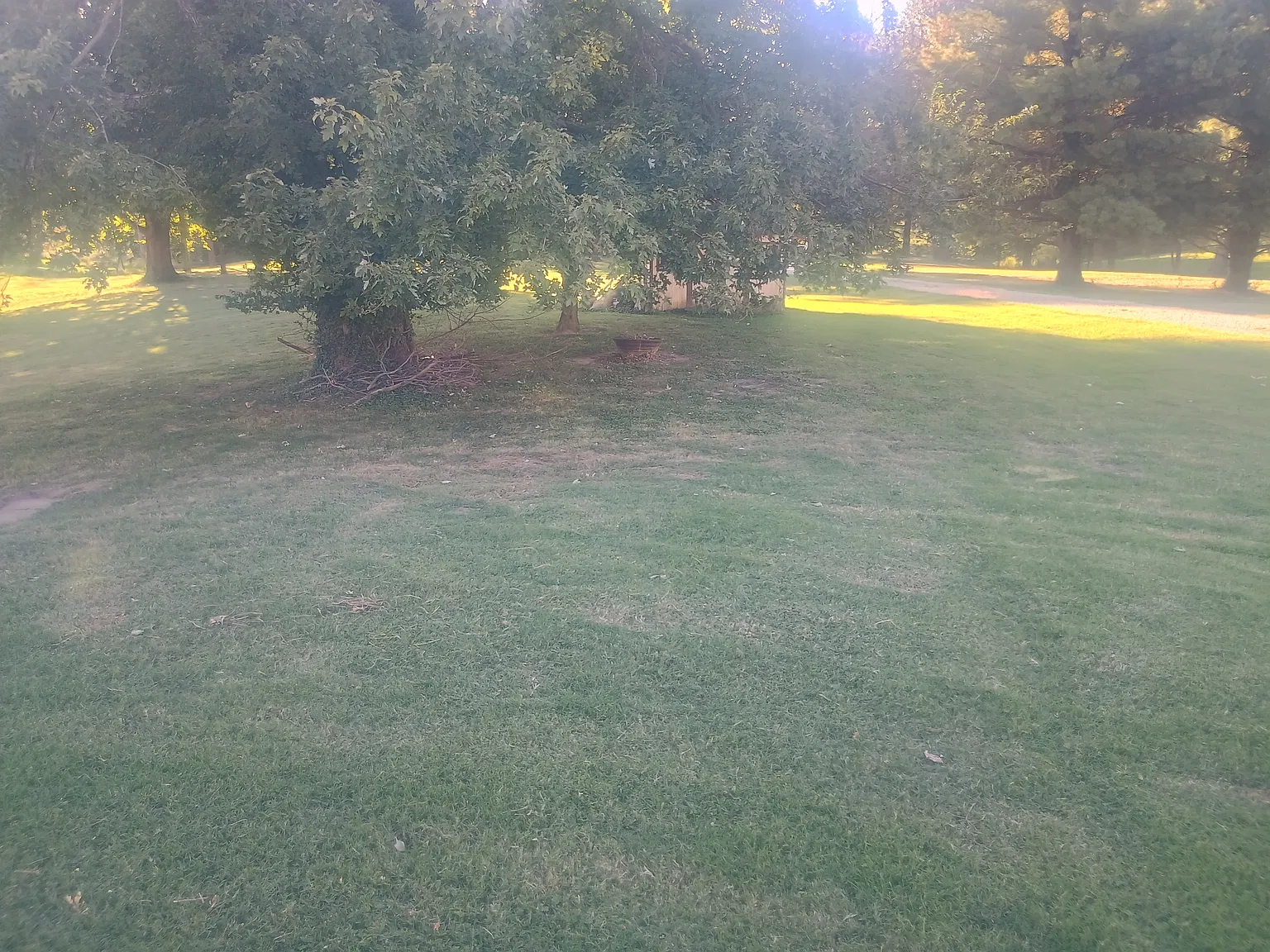 2 bed, 1208 sqft, $1,350 — Photo 4