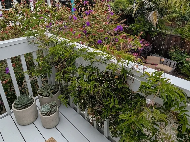 2020 Francisco St — Photo 10
