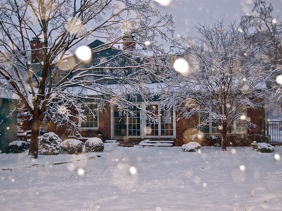 back yard in the snow