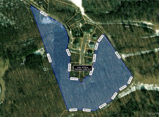 8820 Abbott Hill Rd #16, Springville, NY 14141