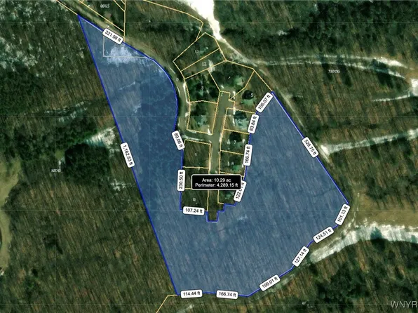 8820 Abbott Hill Rd #16, Springville, NY 14141