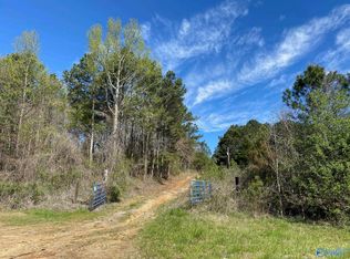 3325 Lookout St, Leesburg, AL 35983