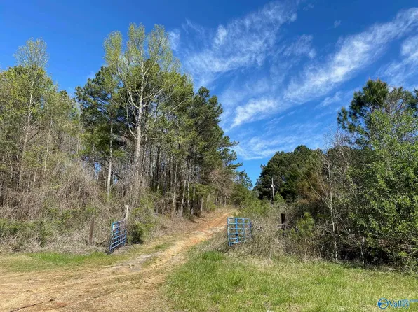 3325 Lookout St, Leesburg, AL 35983