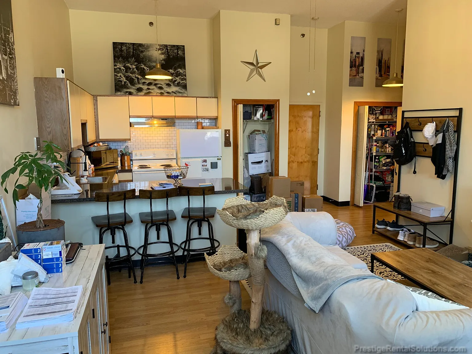 1 bed, 650 sqft, $1,575 — Photo 2