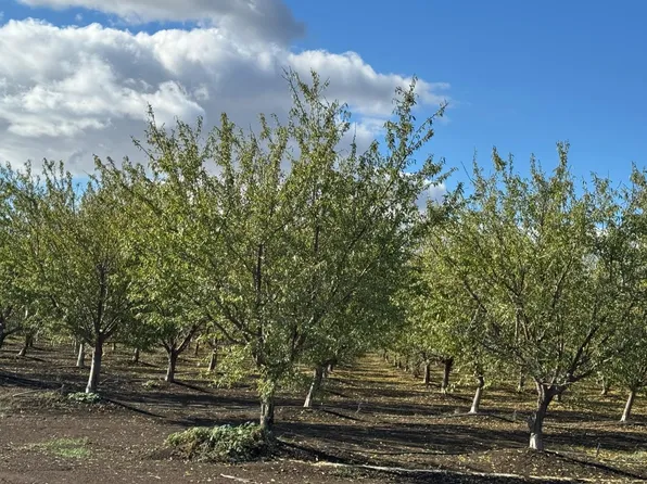 Striplin Rd, Pleasant Grove, CA 95668