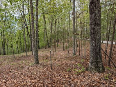 15 Sunrise Mountain Retreat Rd, Beattyville, KY, 41311
