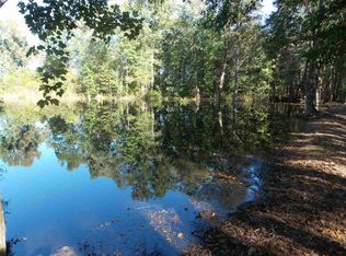 2927 Minturn Rd, Dillon, SC 29536