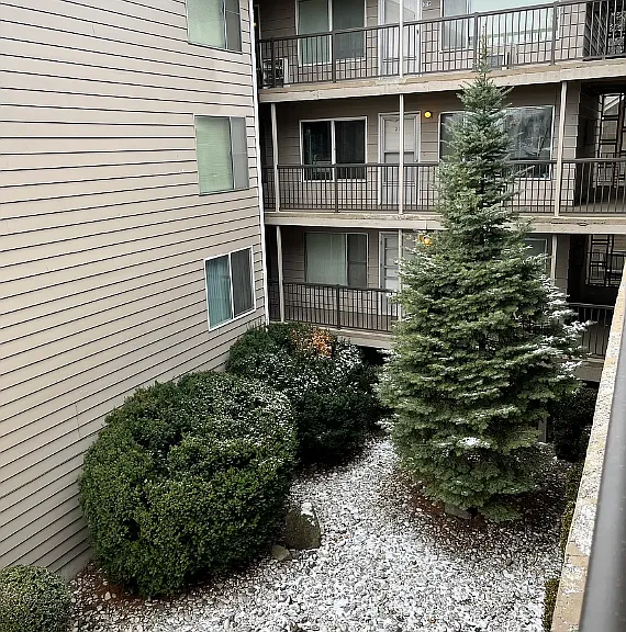535 NE Maiden Ln #319 — Photo 8