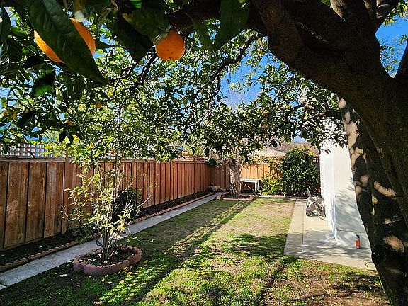 Enclosed Backyard