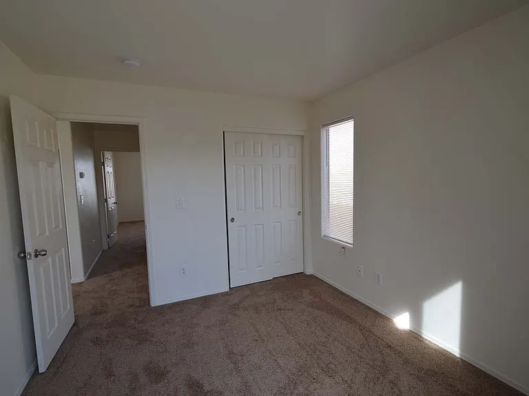 6674 Tulip Falls Dr — Photo 5