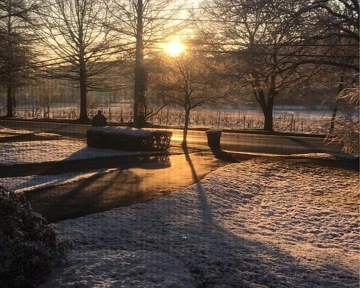 Sunrise
