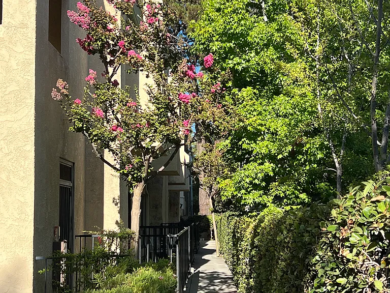 222 S Catalina Ave #9 — Photo 19