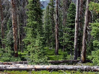 000 Schlueter Road, Fort Garland, CO, 81133