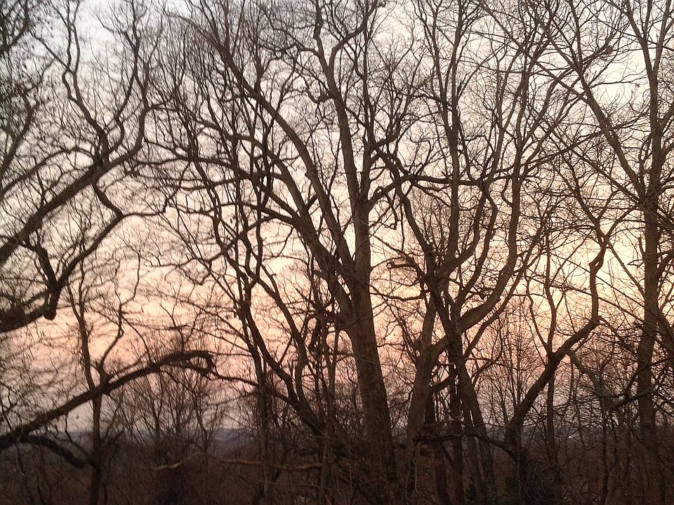 deck backs to west sunsets