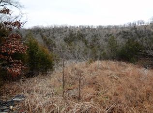 Rockpoint Dr, Walnut shade, MO 65771