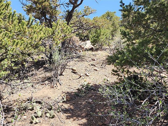 3rd image of 5039 Mamouche Road