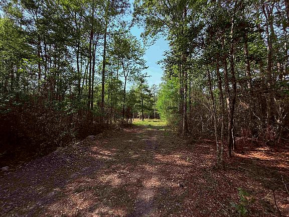 4th image of 2400 Sunny Heights Rd.