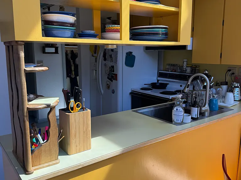 Super functional kitchen-counters connect dining area