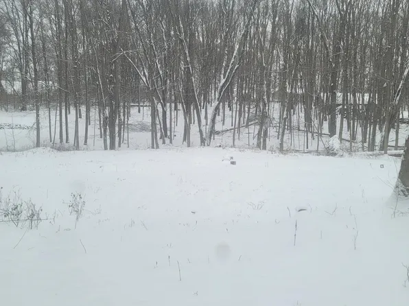 10400 Corey Bluff Rd, Three Rivers, MI 49093