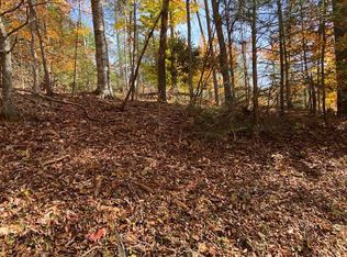 Noah Snyder Rd, Mountain City, TN 37683