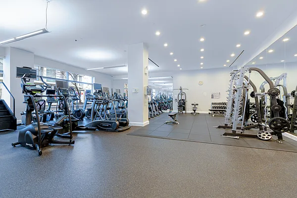 Rented by Luca Paci Real Estate | media 15