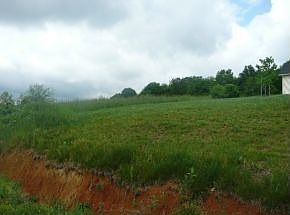 2nd image of 393 Sliger Rd