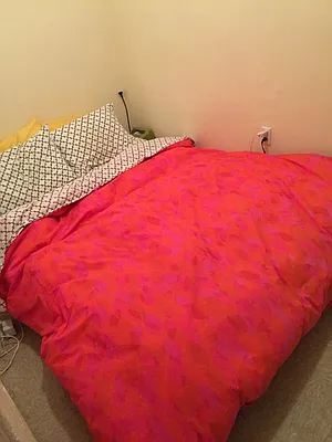 Rented by Picture Realty Inc. | media 12