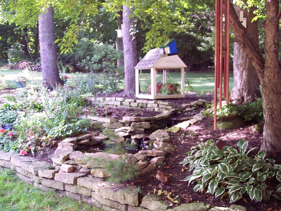 beautiful back yard