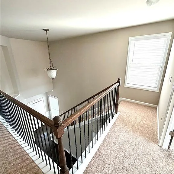 13248 Warrensville Cv — Photo 20