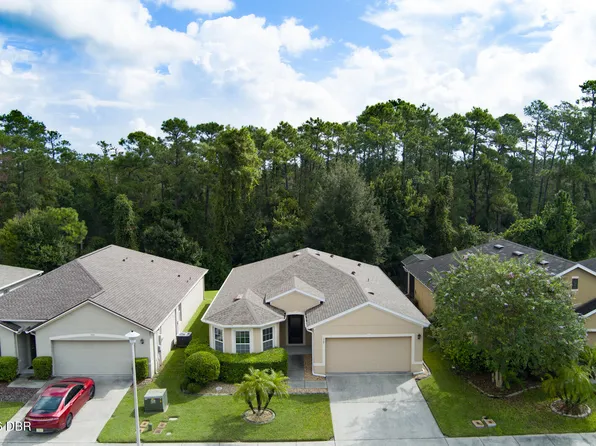 529 White Coral Ln, New Smyrna Beach, FL 32168