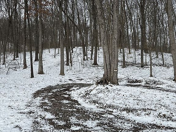 5th image of 27 Pike Lake Rd