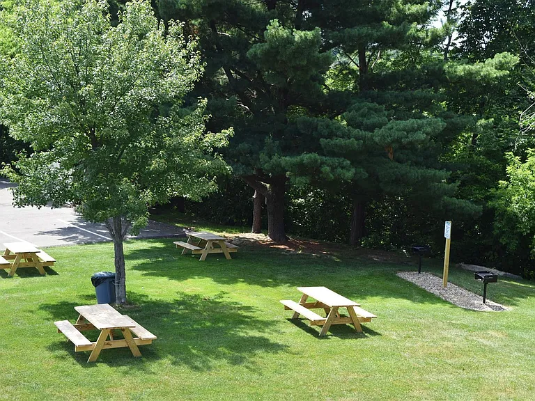 Picnic tables and grills for tenant use.