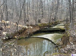 13 & 16 Saltsman Dr, Leitchfield, KY 42754