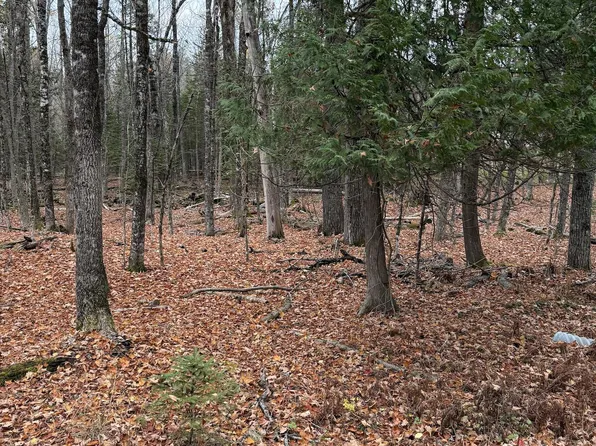 Lot 18 Shore Road, Dexter, ME 04930