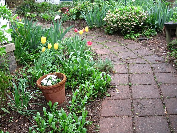 pathway from front yard 